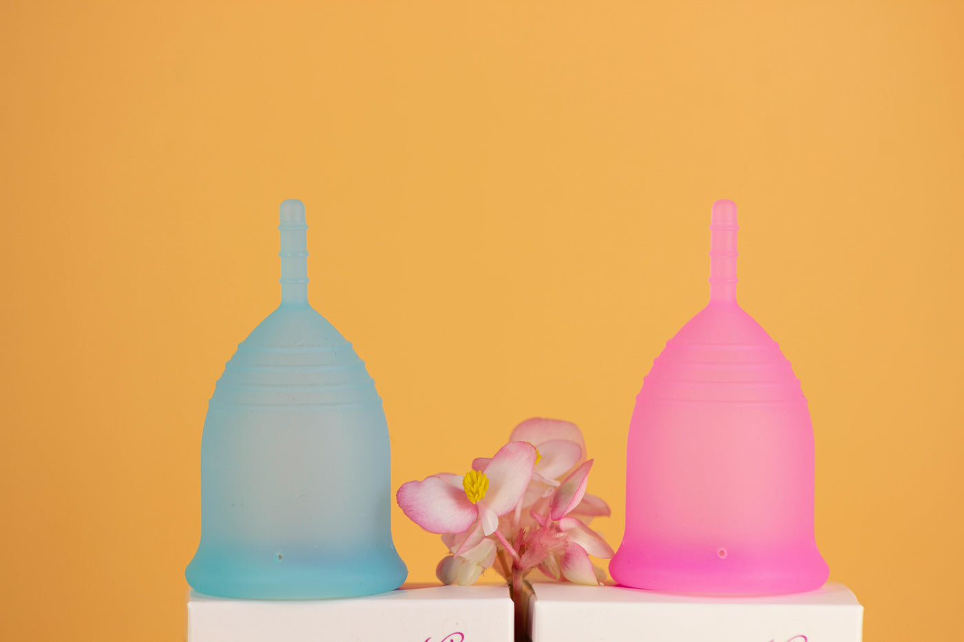 MENSTRUAL CUPS