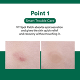 VT - SPOT PATCH - 1 SOBRE - 48 PARCHES