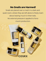 Advanced Snail Radiance Dual Essence