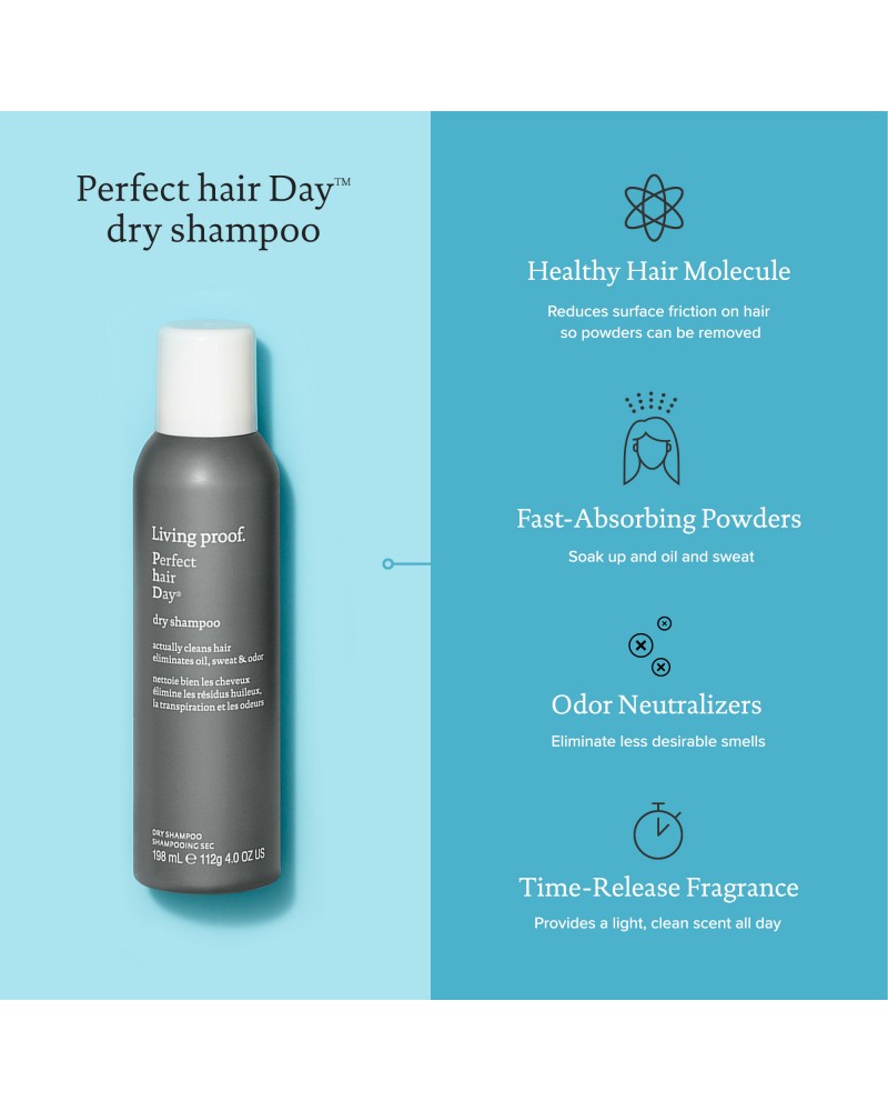 Perfect Hair Day Dry Shampoo 